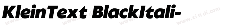 KleinText BlackItali字体转换